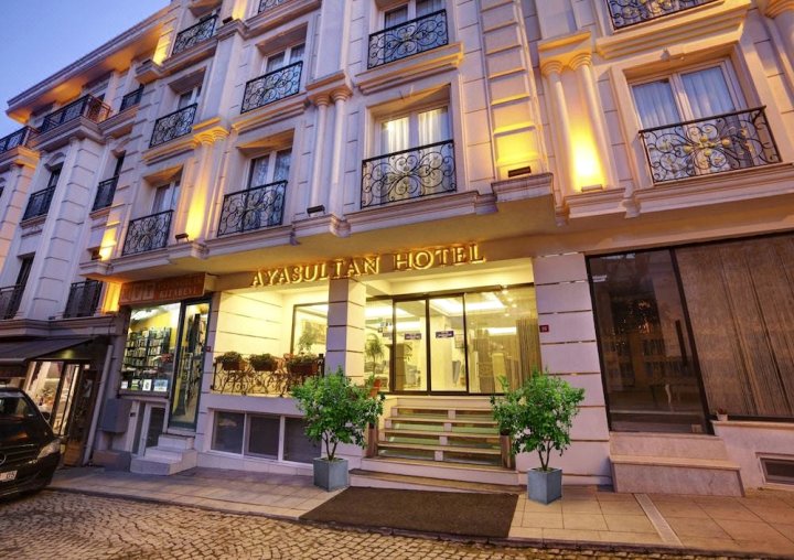 奥雅苏丹酒店(Ayasultan Hotel)