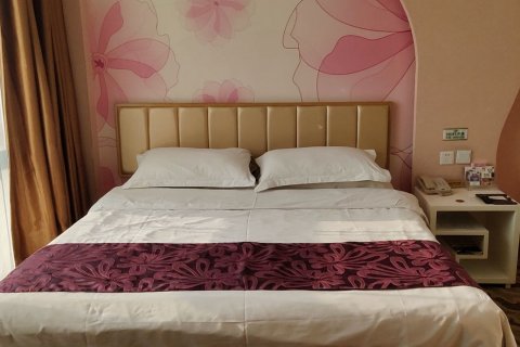 双鸭山友悦主题宾馆