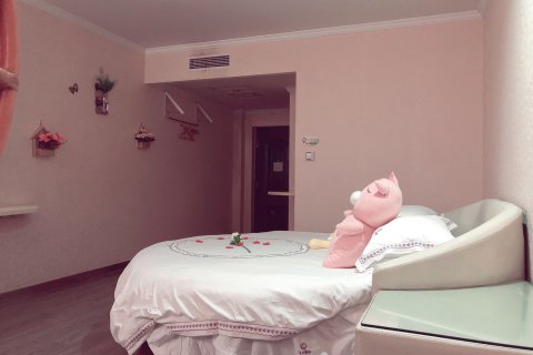 句容水月清华酒店(宁杭路崇明地铁站店)