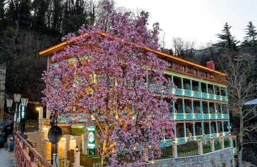 木兰乐园酒店(Hotel Magnolia Paradiso)