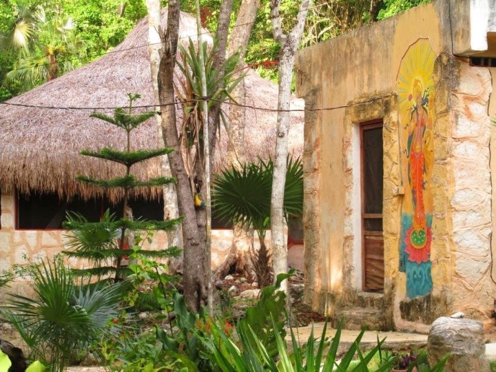 有机瑜伽墨西哥酒店(Organic Yoga Mexico)