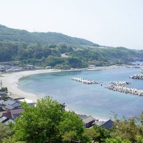 森卡库索酒店(Senkakuso(Sadogashima))