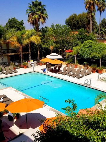棕榈树花园酒店(Palm Garden Hotel)