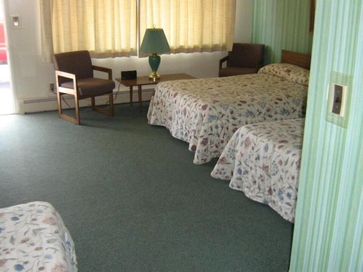 教堂山汽车旅馆(Chapel Hill Motel)