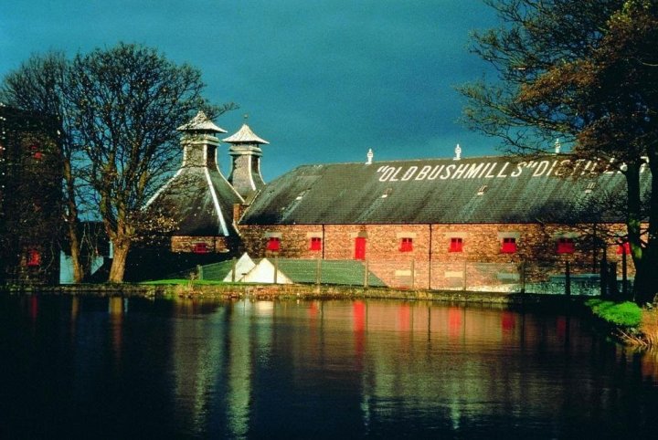 布什米尔斯青年旅馆(Bushmills Youth Hostel)