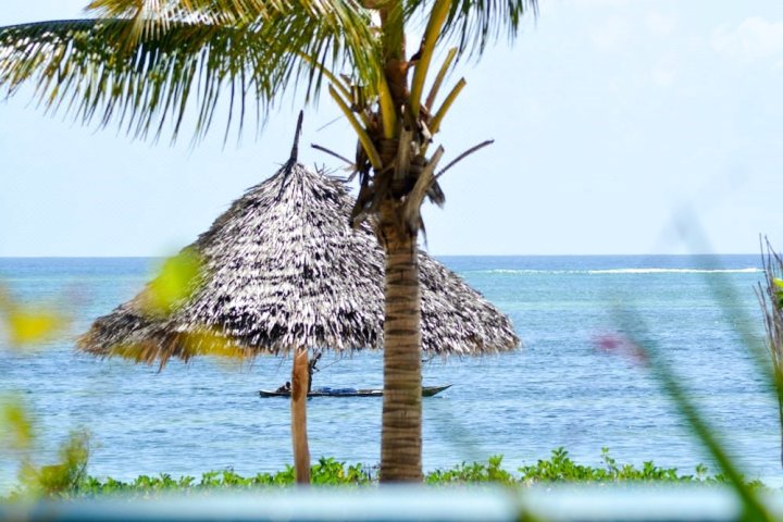 必韦久棕榈海滩别墅酒店(Bwejuu Beach Palm Villa)