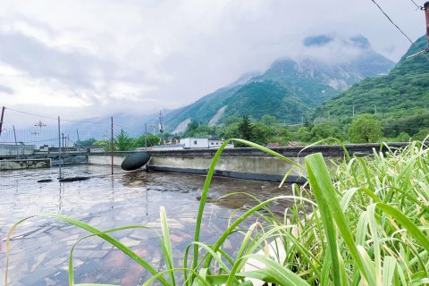 友家客栈(华山景区玉泉院店)