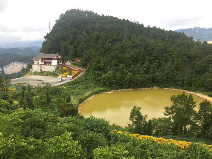 祎祾之家公寓(学府路分店)