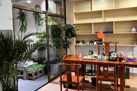 鼓浪屿茶屿猫·宿