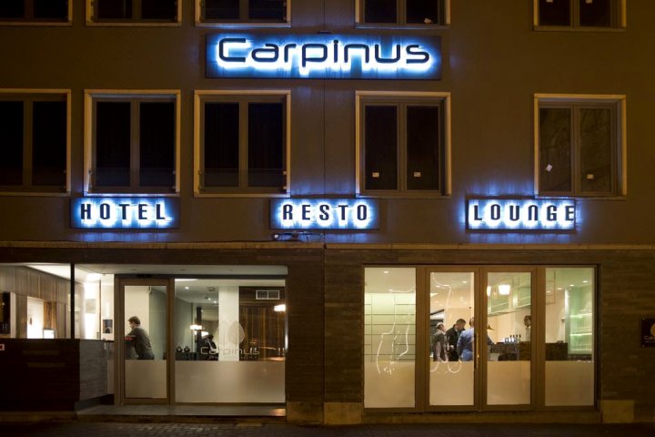 卡皮诺斯酒店(Hotel Carpinus)