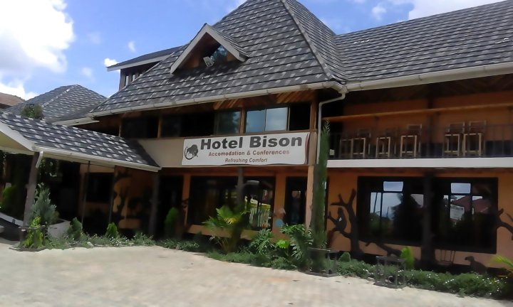 比森酒店(Hotel Bison)