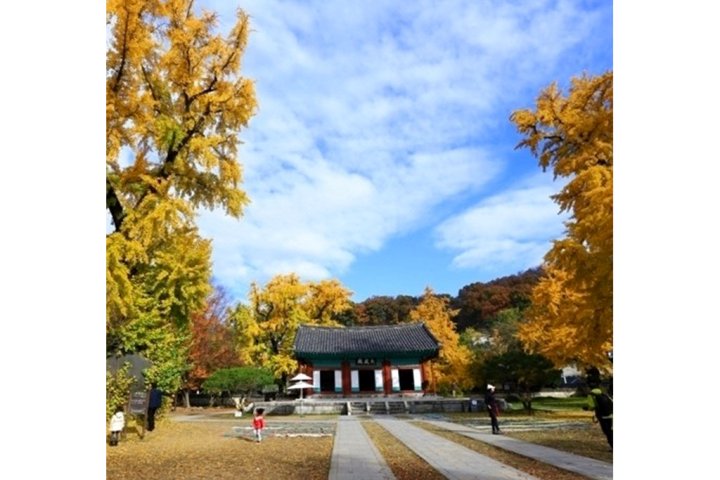 彭丹旅馆(Pongdang Guesthouse)