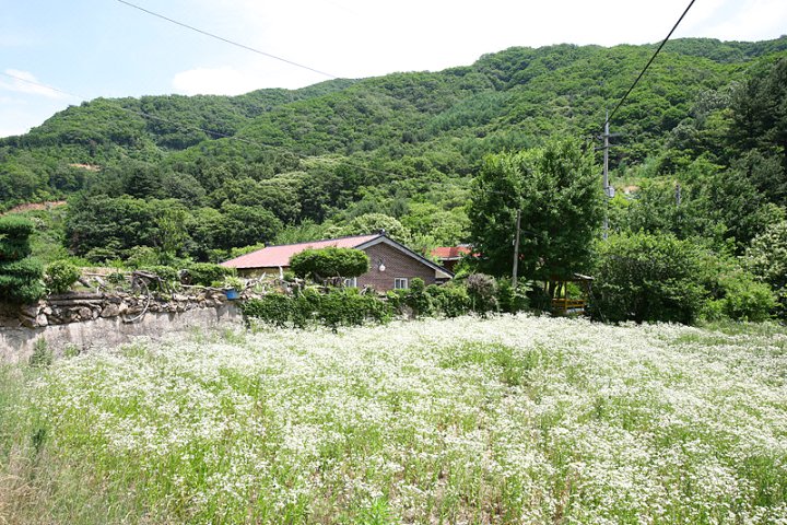 加平郡Homyung山谷民宿(Homyung Valley Pension Gapyeong)