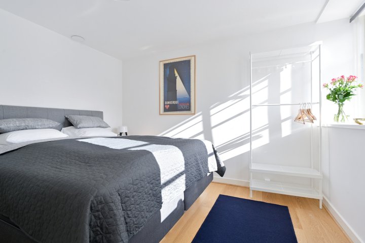 Beautiful 1 -Bedroom Apartment in The Building from 1734 in Heart of Copenhagen