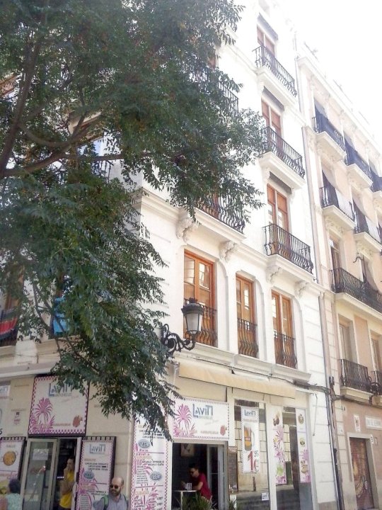 番乐恩慈亚托雷斯塞​​拉诺公寓(Valenciaflats Torres de Serrano)