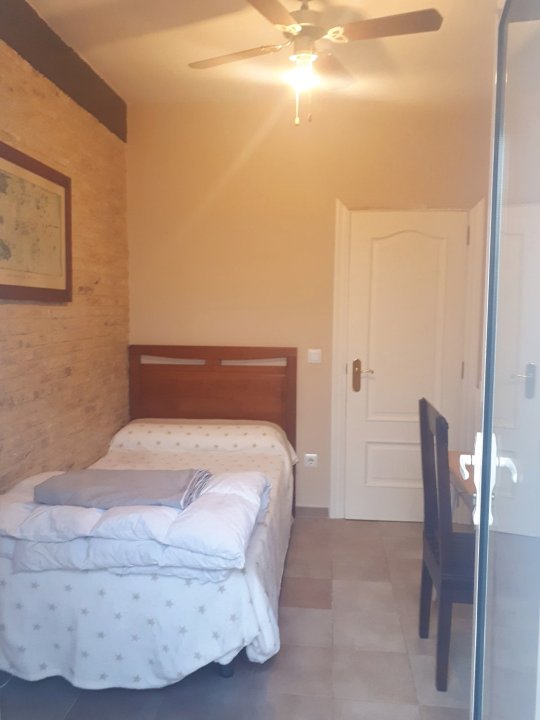 Quiet Single Room in Valencia, with Large Terrace for Pets