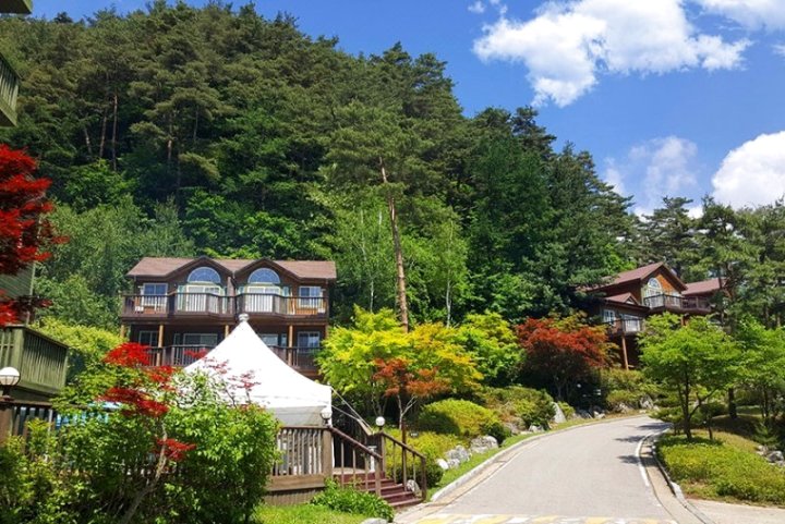 Pyeongchang Pine Forest Pension (Individual BBQ)