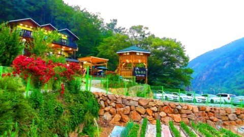 闻庆小丘屋旅馆(Mungyeong Hill House Pension)