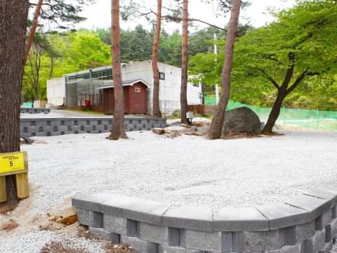 Gangneung Daegwallyeongsol Naeum Auto Camping Site