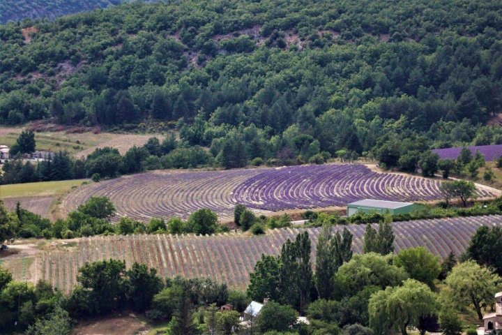 根达利斯区域酒店(Domaine des Gendalis Proche Avignon)