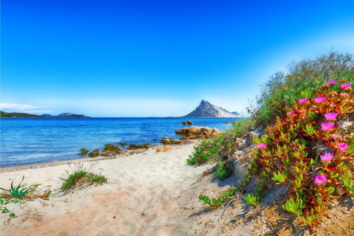 Il Vecchio Faro A30 150Mt from the Beach