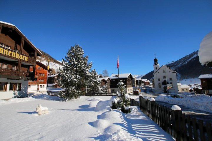 布林恩霍恩酒店(Hotel Blinnenhorn)