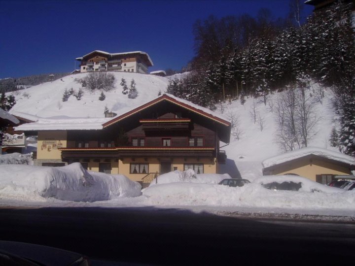 萨尔兹伯格霍夫旅馆(Apartments Salzburgerhof)