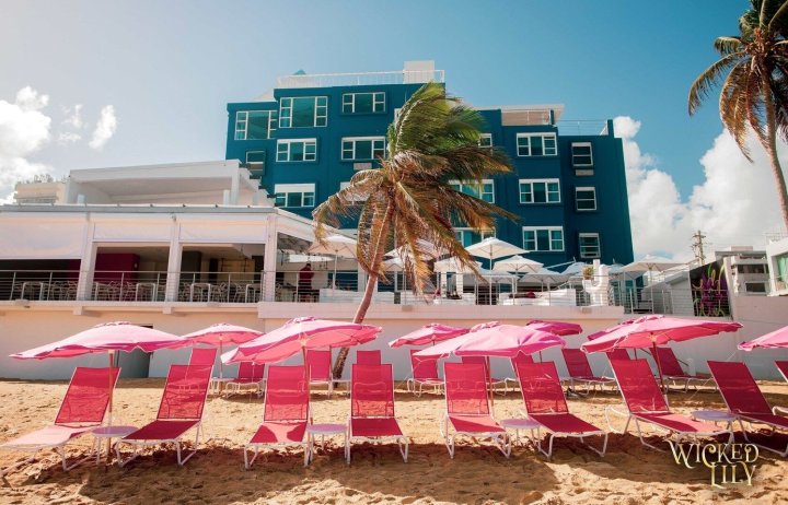特莱斯特海滨酒店(The Tryst Beachfront Hotel)