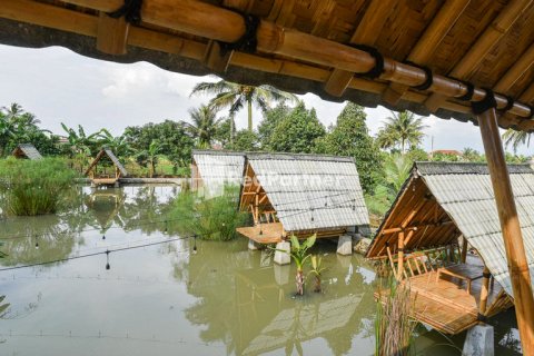 Pondok Anisa Near Kolam Renang the Bagelen RedPartner