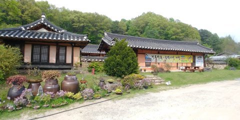忠州野花和古宅游旅馆(Choongju Yasenghwa Wa Gotek Nadelee)