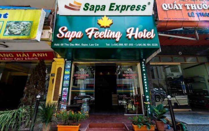 萨帕感受酒店(Sapa Feeling Hotel)