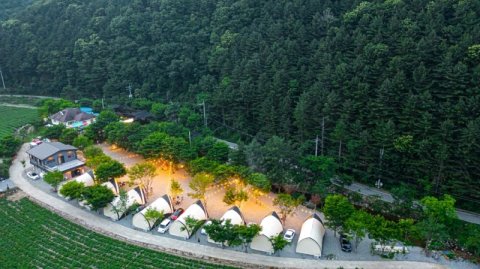 Stay in Chuncheon Forest Pension