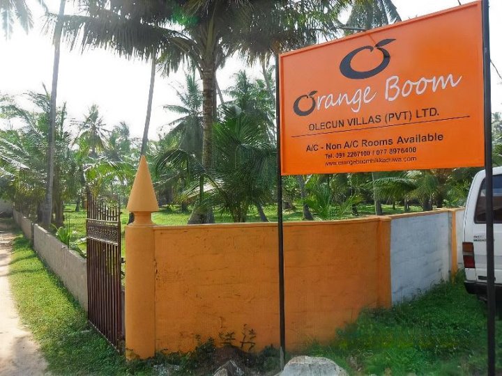 橙色景气别墅(Orange Boom Villa)