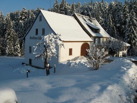 洛弗兹米切德盖斯特膳食酒店(Pension Löffelschmiede)