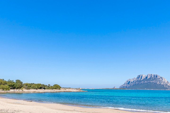 Il Vecchio Faro A30 海滩150米(Il Vecchio Faro A30 150mt from the Beach)