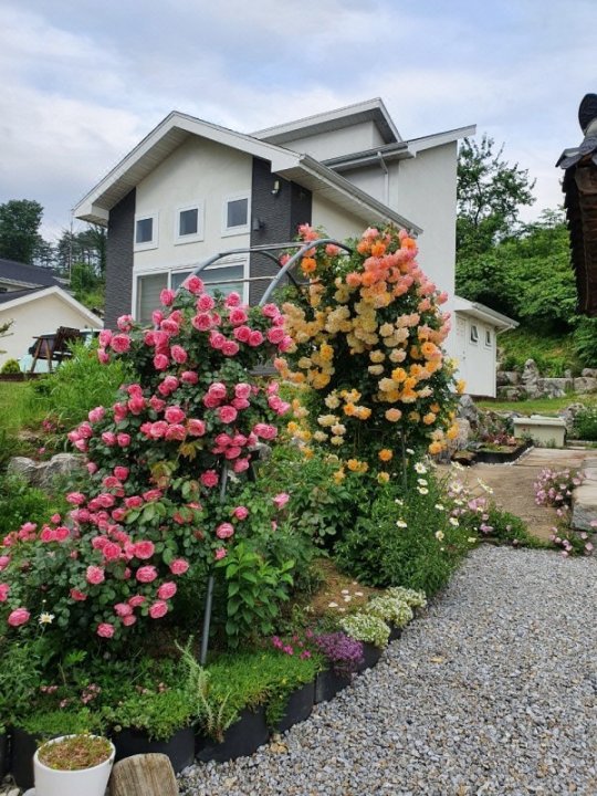 Gangneung Ggaebi's House Pension