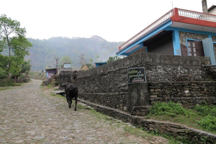 隐居天堂旅馆(Hidden Paradise Guest House)