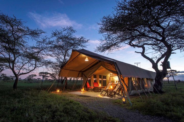 塞伦盖蒂伍德朗特兹露营(Serengeti Woodlands Camp)