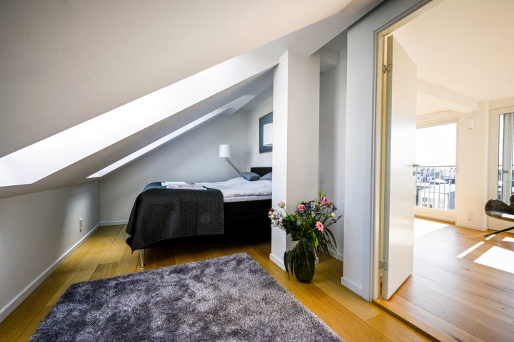 哥本哈根市中心的宽敞3居室公寓，配有屋顶露台(Spacious 3-Bedroom Apartment with a Rooftop Terrace in the Center of Copenhagen)