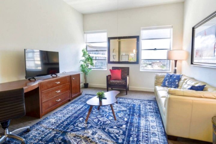 Great Value Downtown 1BR Apt with Good Wifi and Amazing View!