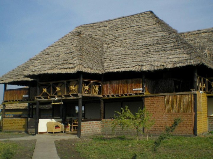 垂柏塔拉吉尔旅馆露营地(Tembo Tarangire Lodge & Camp)
