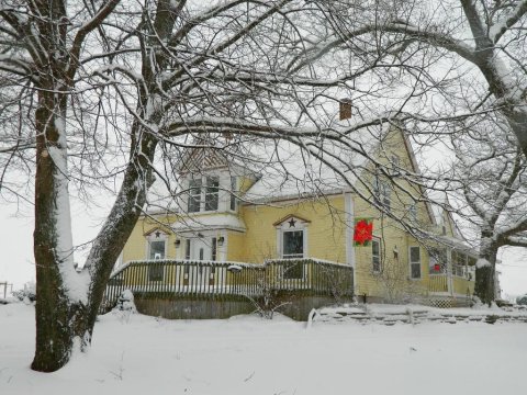 破车住宿加早餐旅馆(Broken Wheel B&B)