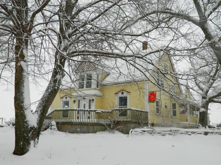 破车住宿加早餐旅馆(Broken Wheel B&B)