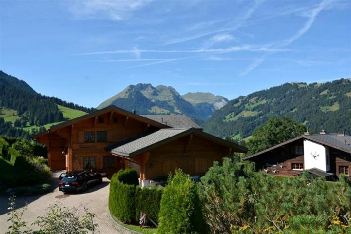 Gstaad Blue Sky Chalet
