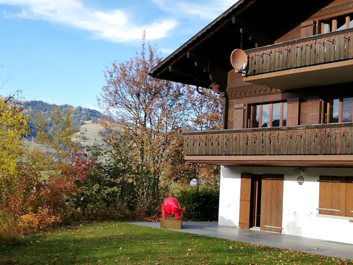 Super Luxury Flat in Gstaad Best Oberbort Location