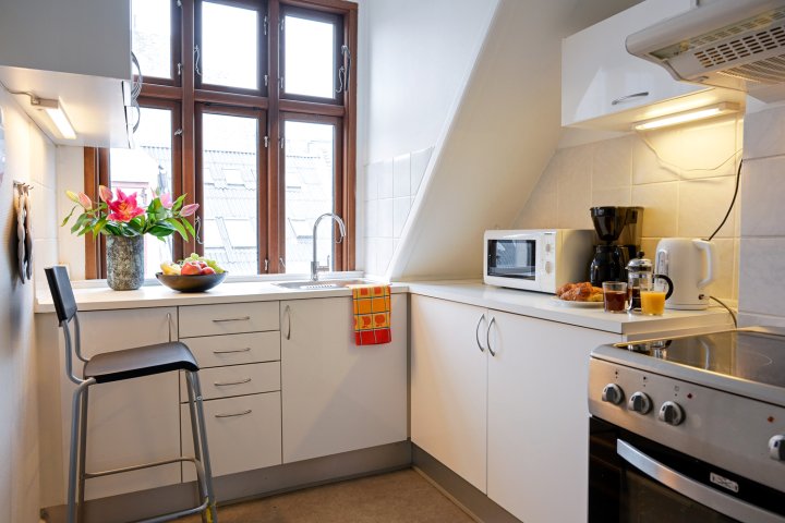 Cozy One-Bedroom Apartment in Copenhagen Downtown