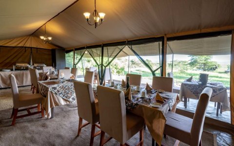 塞伦盖蒂伍德朗特兹露营(Serengeti Woodlands Camp)