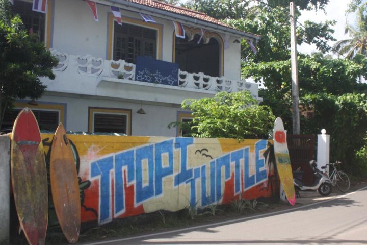 热带海龟旅馆(TropiTurtle Guesthouse)