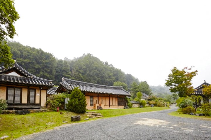 Chungju Wildflowers and Gotaengnadeuri