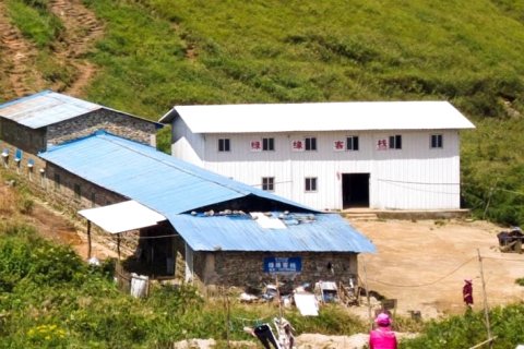 武功山绿缘客栈